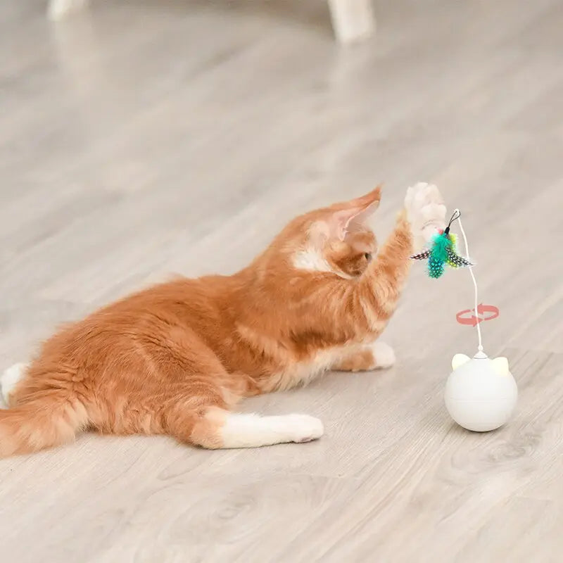 Jouet intelligent interactif pour chat - ROUESàPLUMES™ - Tiges et plumes de rechange