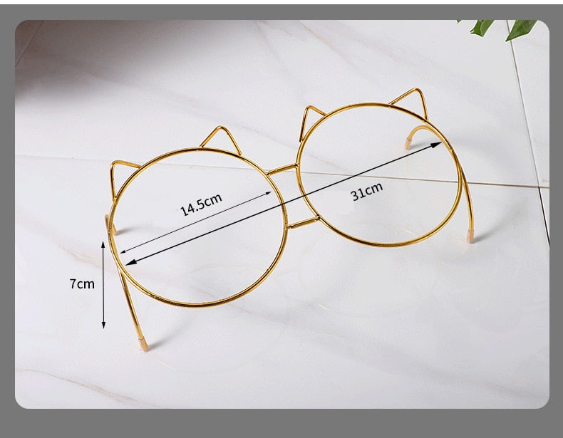Gamelle chat verre