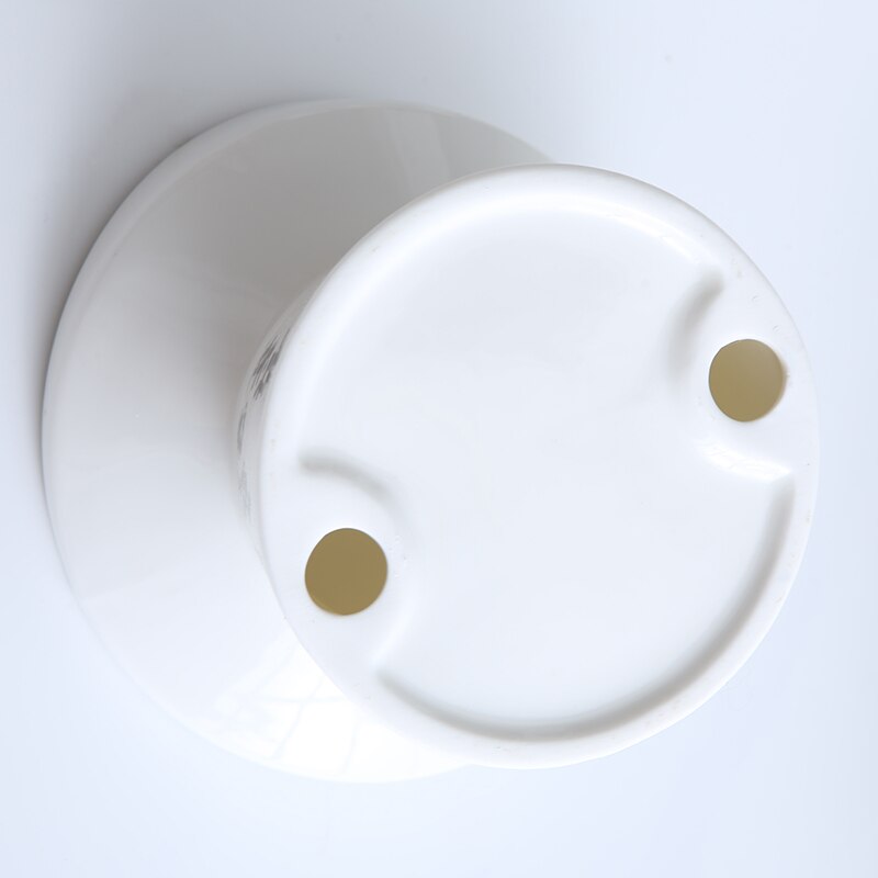 Bol ergonomique pour chat