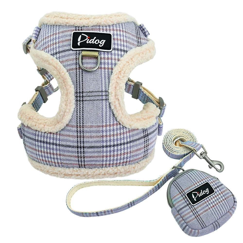 Harnais pour petit chien rembourré avec laisse
