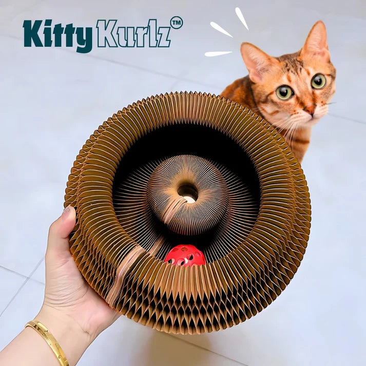 Le Griffoir Magique Kitty Kurlz