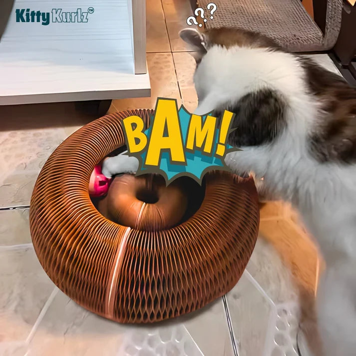 Le Griffoir Magique Kitty Kurlz