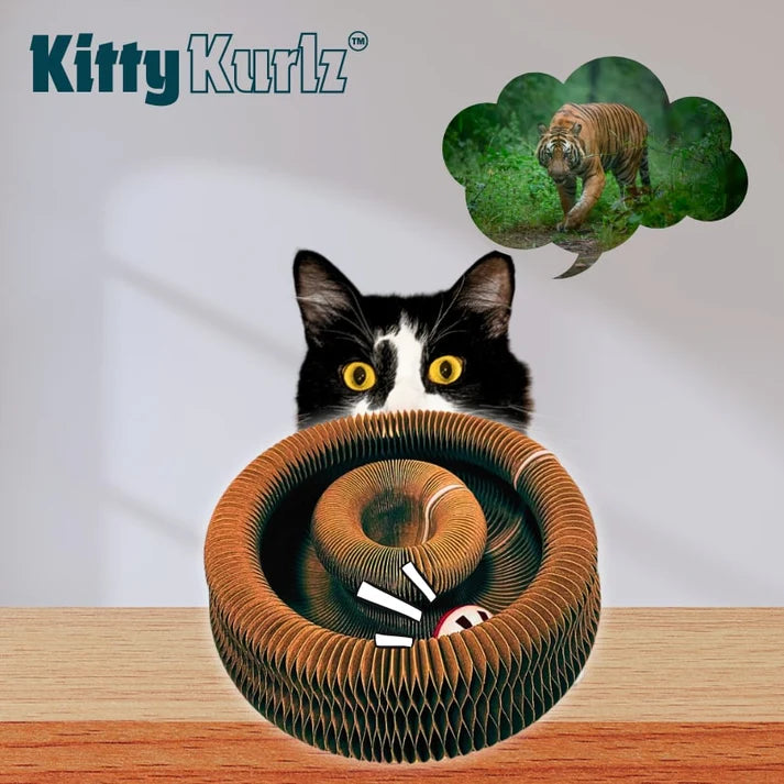 Le Griffoir Magique Kitty Kurlz