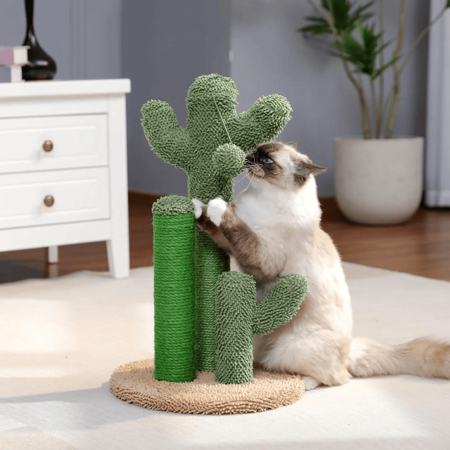 Le Griffoir-Cactus