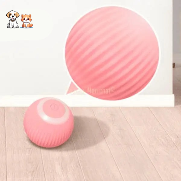 SMART ROLLING BALL FOR CAT – Vite’Balle’Chat™