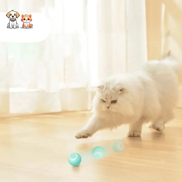 SMART ROLLING BALL FOR CAT – Vite’Balle’Chat™
