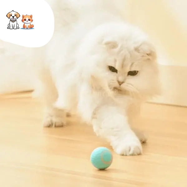 SMART ROLLING BALL FOR CAT – Vite’Balle’Chat™