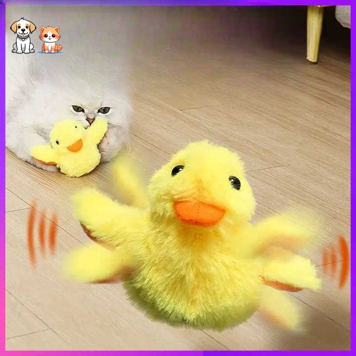 Jouet canard en peluche électrique pour chats