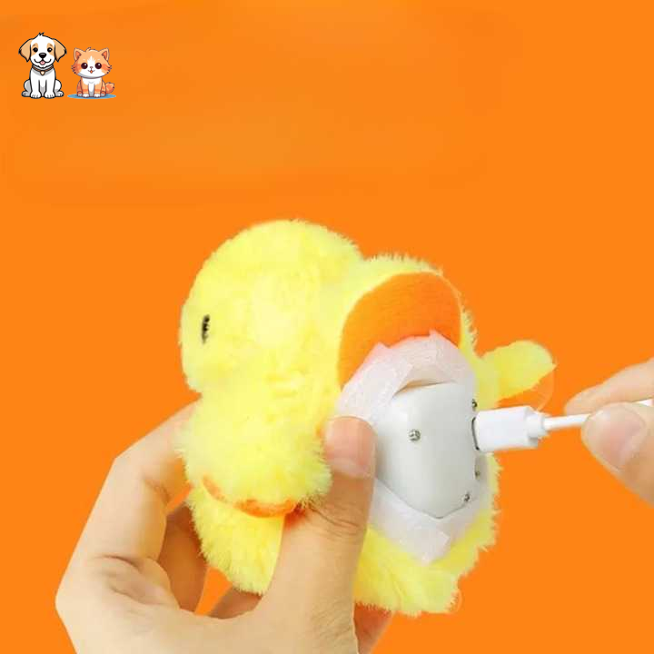 Jouet canard en peluche électrique pour chats
