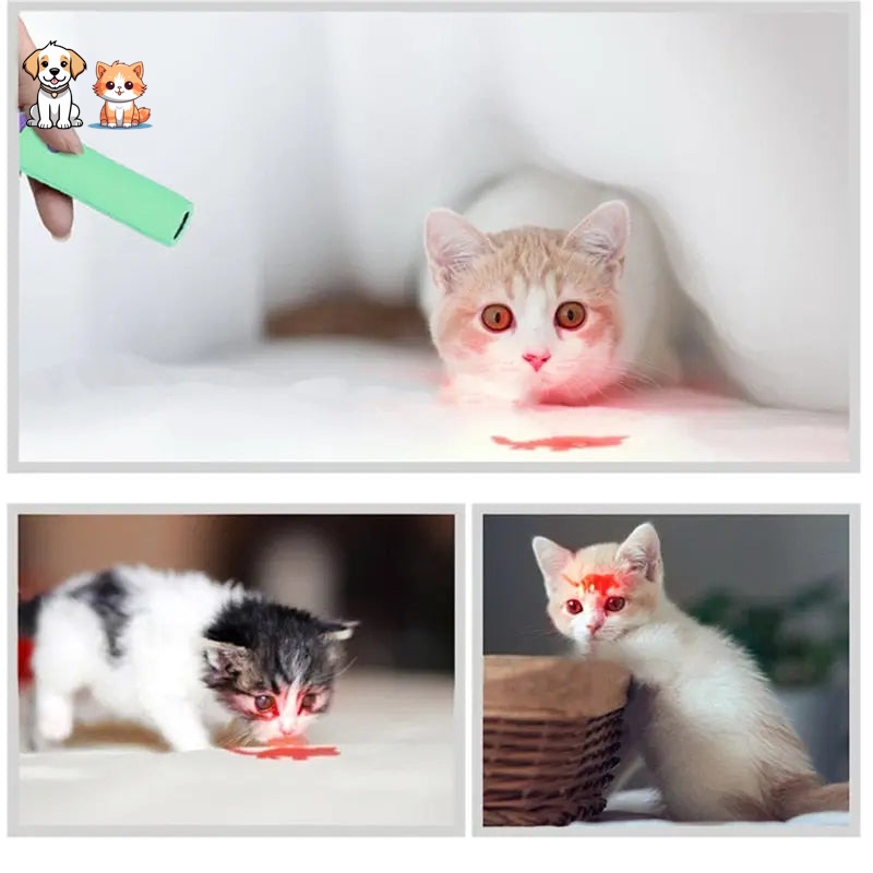 Three Style Interactive LED Laser Cat Toy