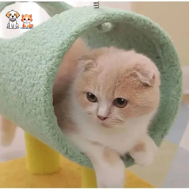 Árbol trepador con diseño de dinosaurio para gatos