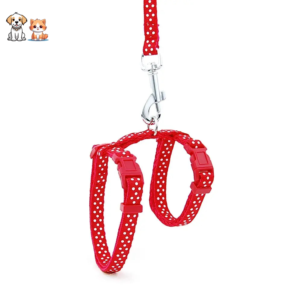 Adjustable Kitten Leash with Nylon Point