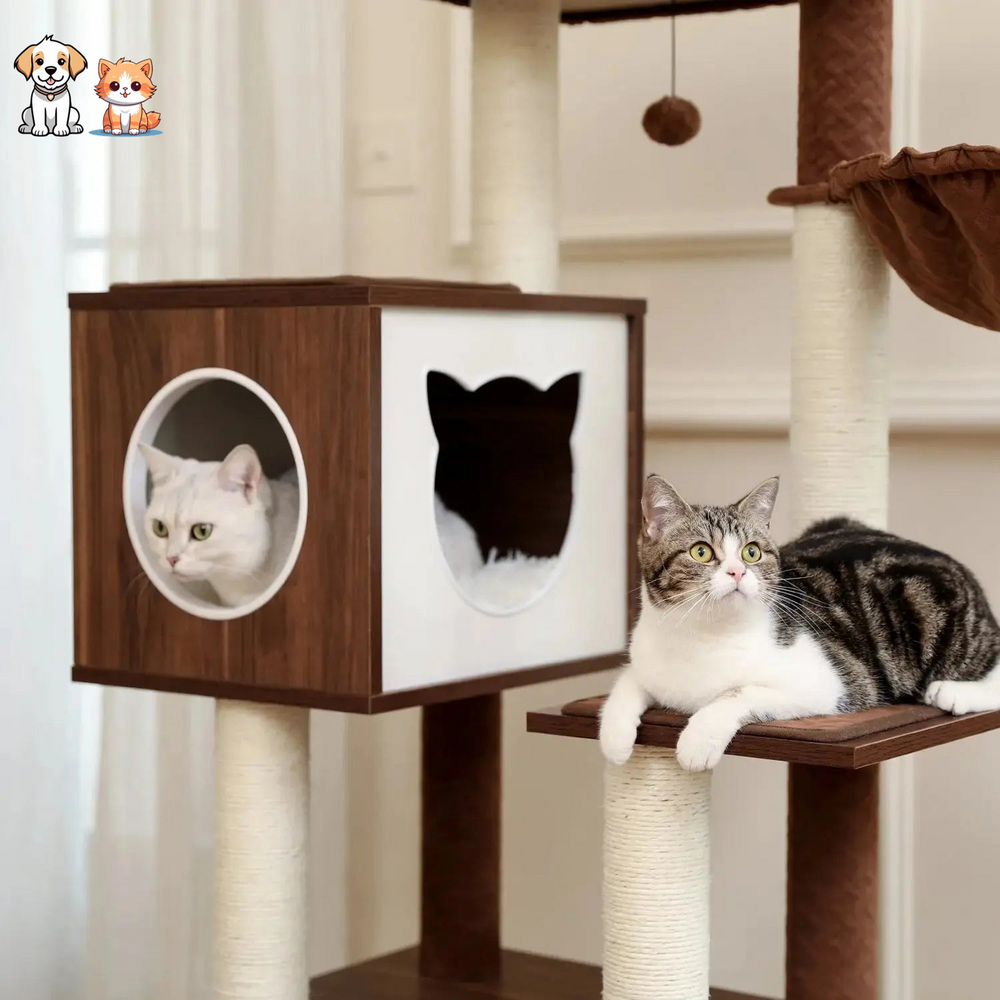 Brown solid wood cat tree for Main coon cats