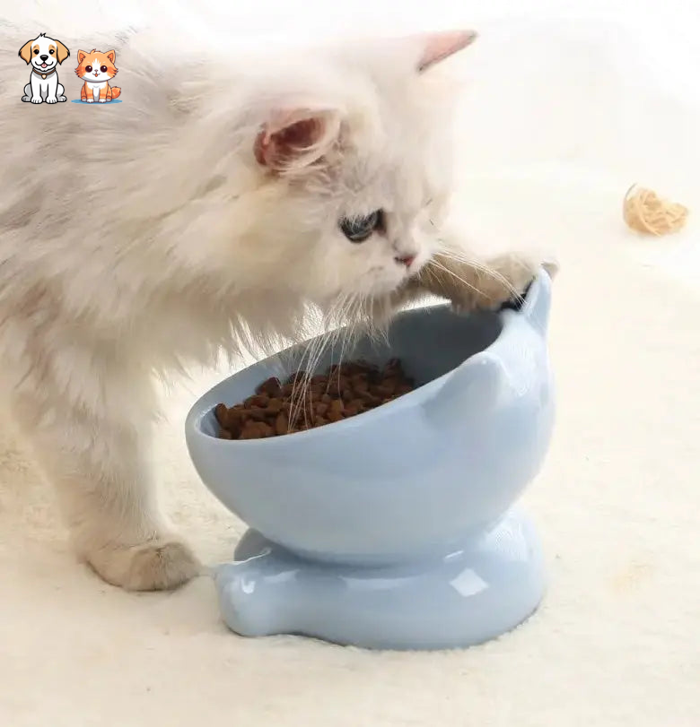 Cuenco de cerámica para gatos con patas altas