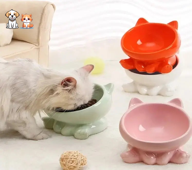 Cuenco de cerámica para gatos con patas altas