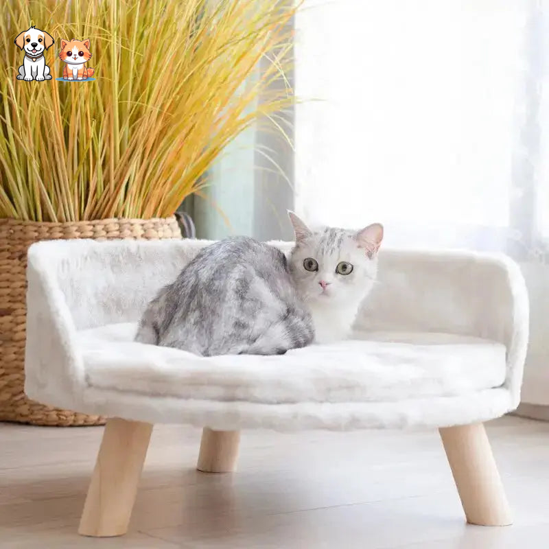 Warm, washable lambswool cat bed