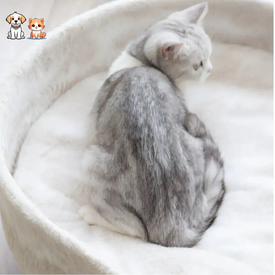 Warm, washable lambswool cat bed