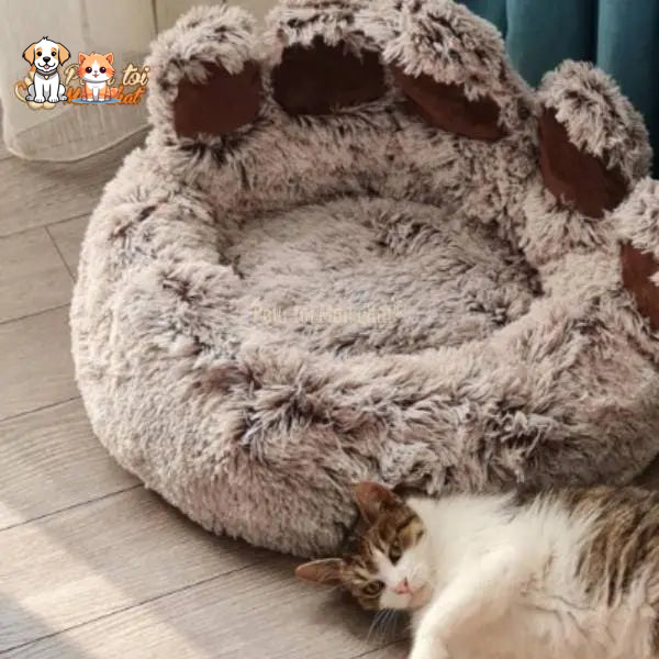 CAMA DE GARRA DE OSO PARA GATO - TEDDYCAT™