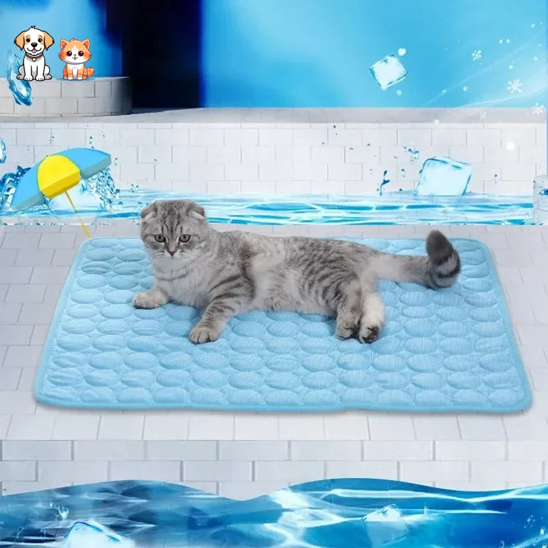 Tapis rafraîchissant & reposant - CHATauFrais™