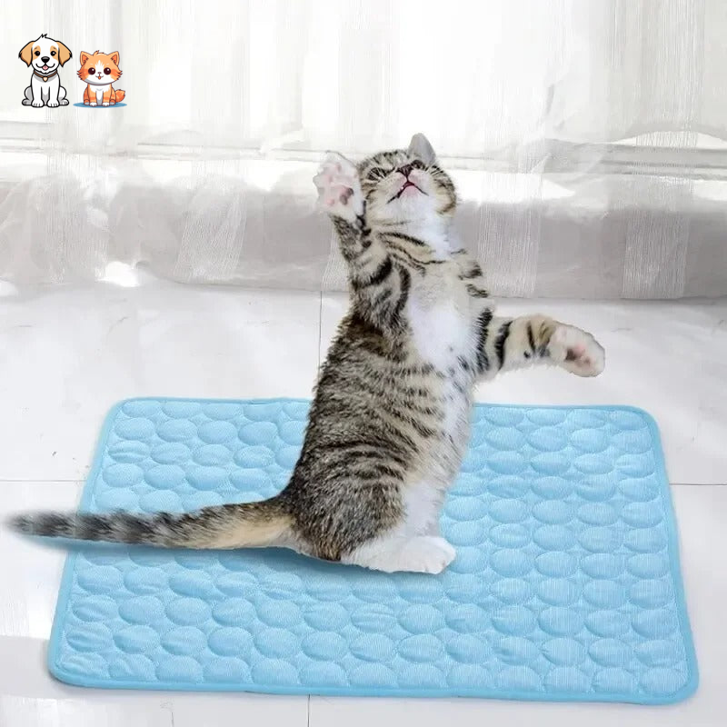 Tapis rafraîchissant & reposant - CHATauFrais™