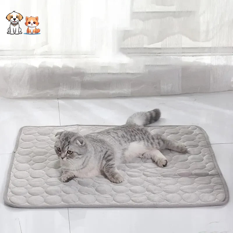 Tapis rafraîchissant & reposant - CHATauFrais™