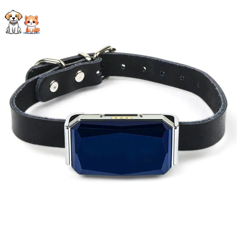 Collier GPS Chat avec Traqueur Rechargeable en Plastique
