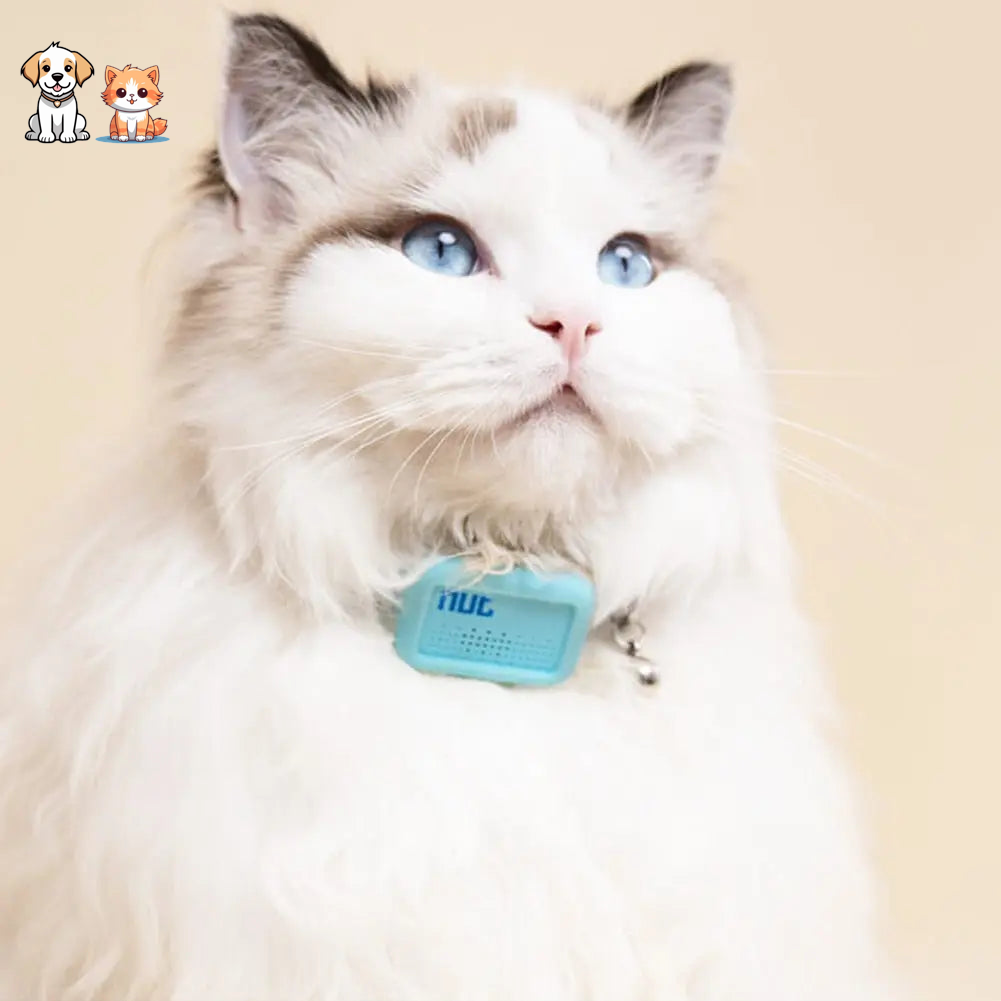 Mini traceur GPS avec collier pour chat