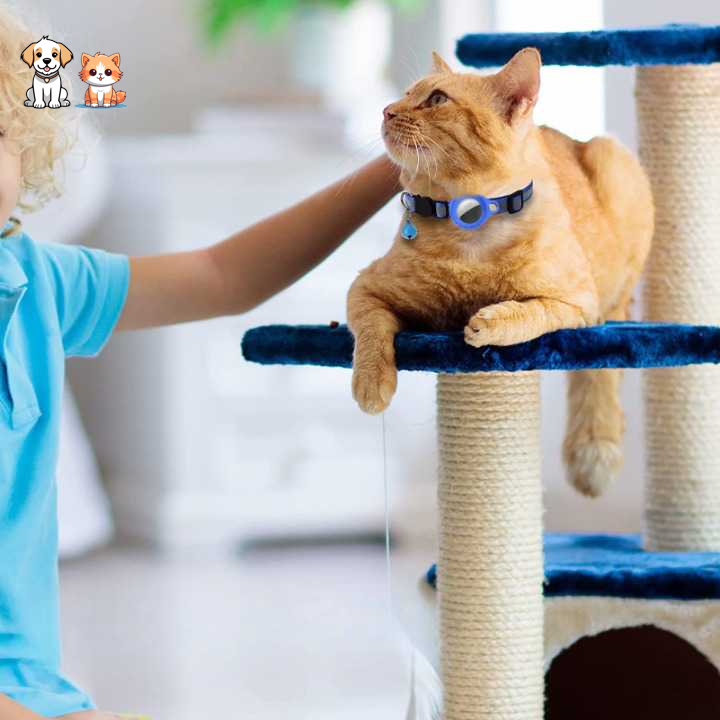 Collier avec clochette de sécurité GPS pour chat