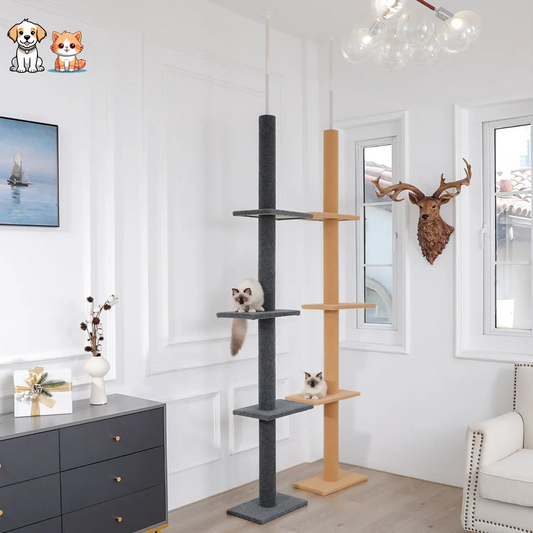 Arbre d'escalade pour chat à cinq niveaux
