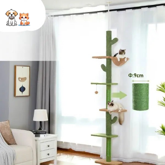 Arbre à chat cactus à cinq niveaux