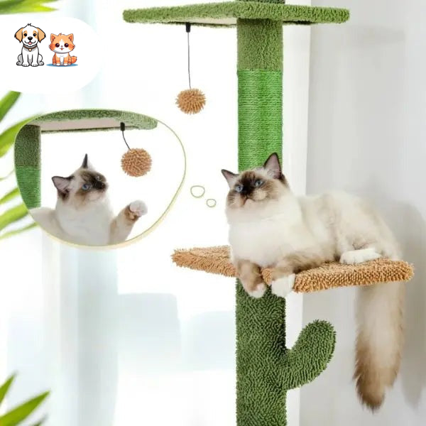 Árbol para gatos con cactus de cinco niveles