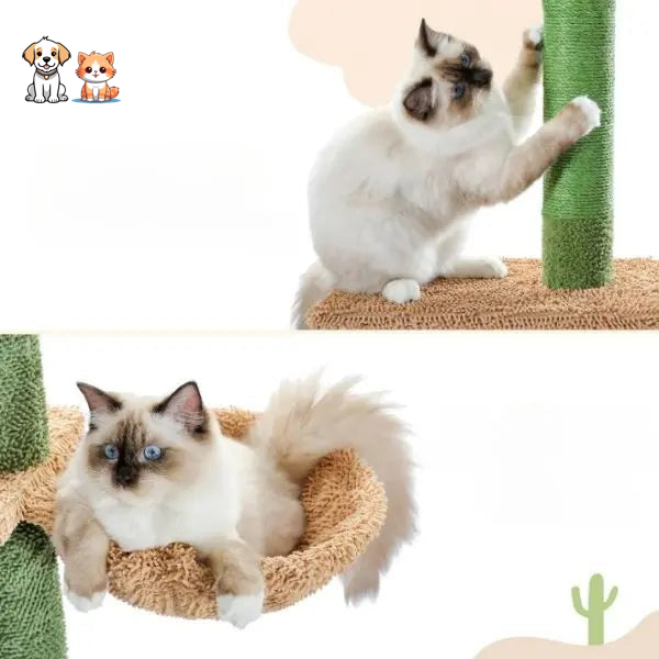 Árbol para gatos con cactus de cinco niveles