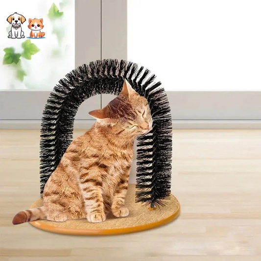 Jouet à gratter en arc pour chat