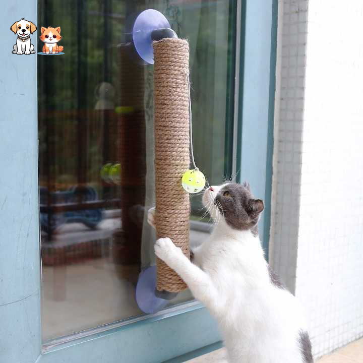 Jouet à gratter avec boule pour chat