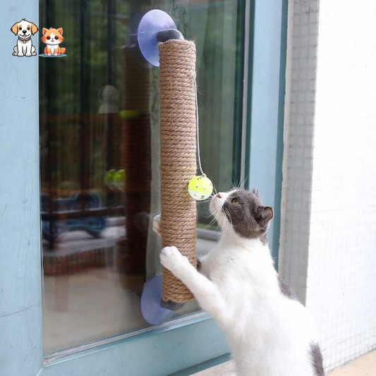 Jouet à gratter avec boule pour chat