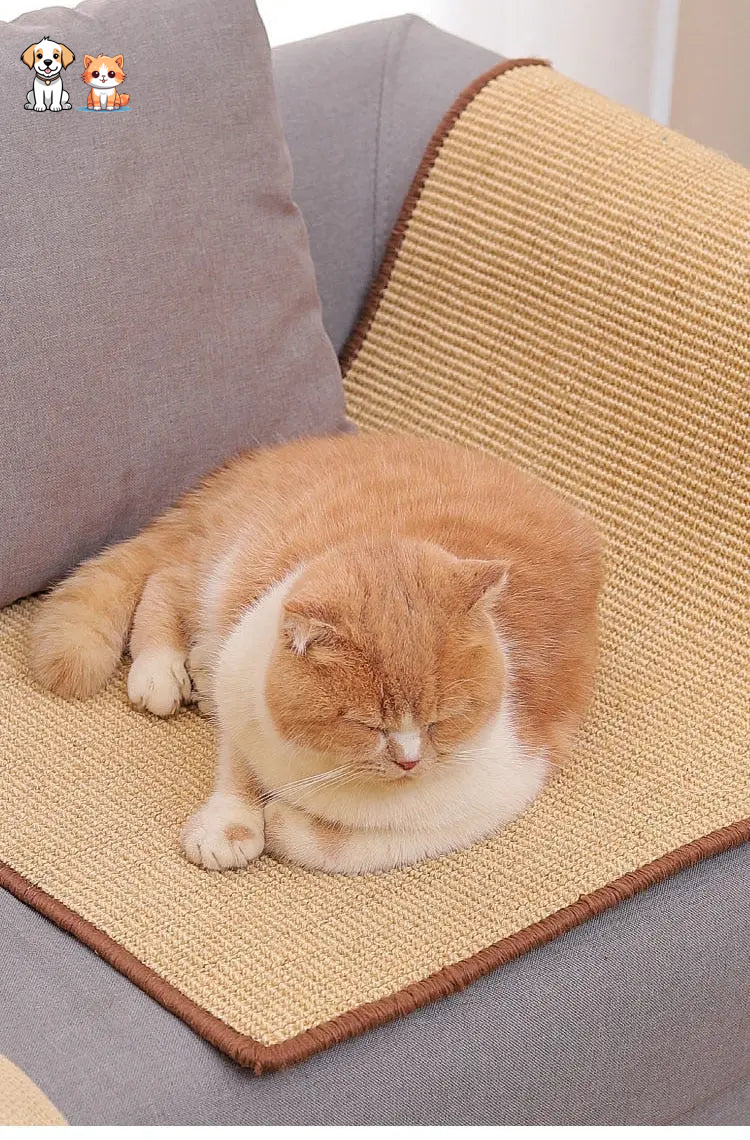 Rascador para gatos y alfombrilla protectora para sofá.