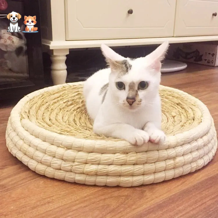 Hand-woven straw cat bed