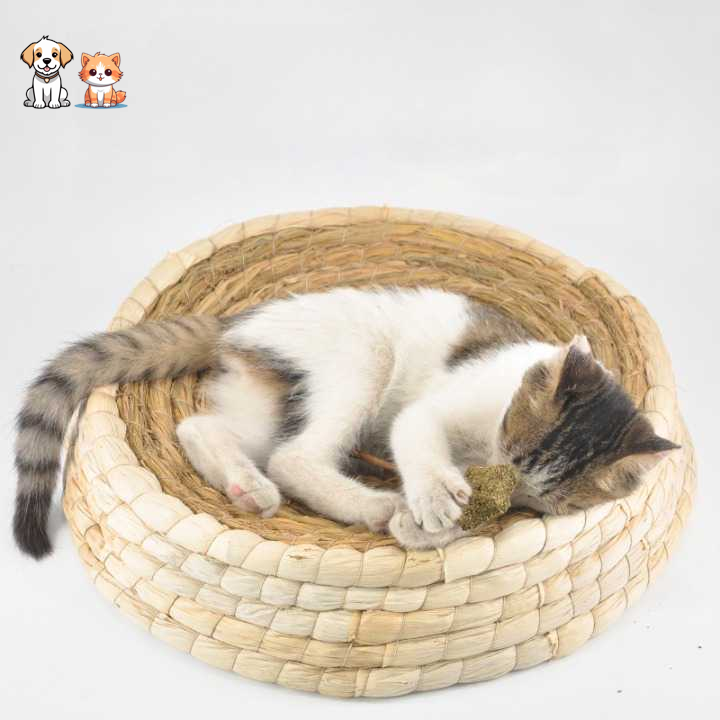 Hand-woven straw cat bed