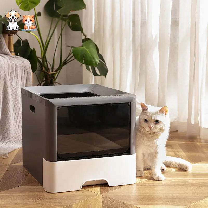 Litter box with scoop for big cats