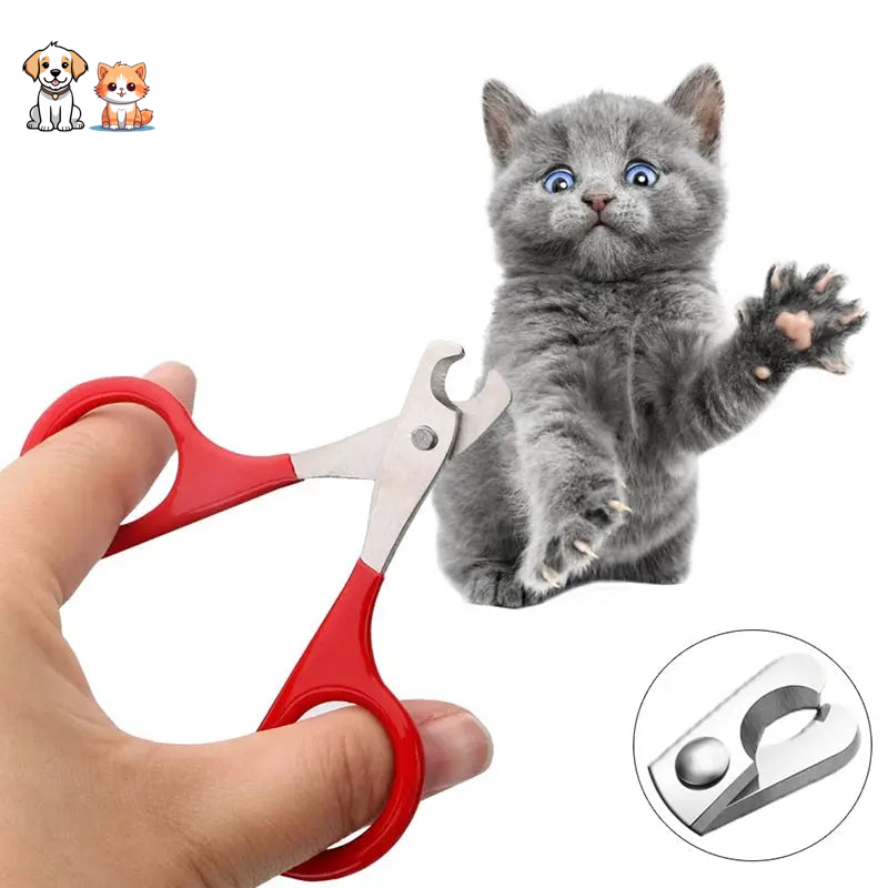 Professional nail clippers for little kittens