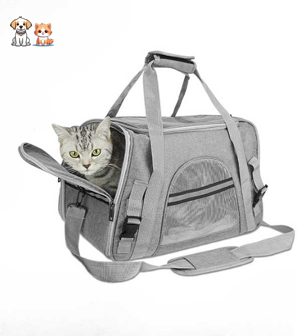 Shoulder handbag for carrying cats