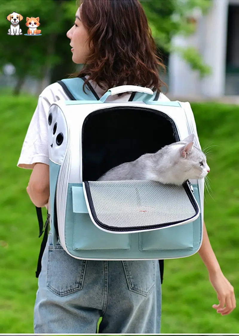 Mochila para gatos plegable y ventilada verde