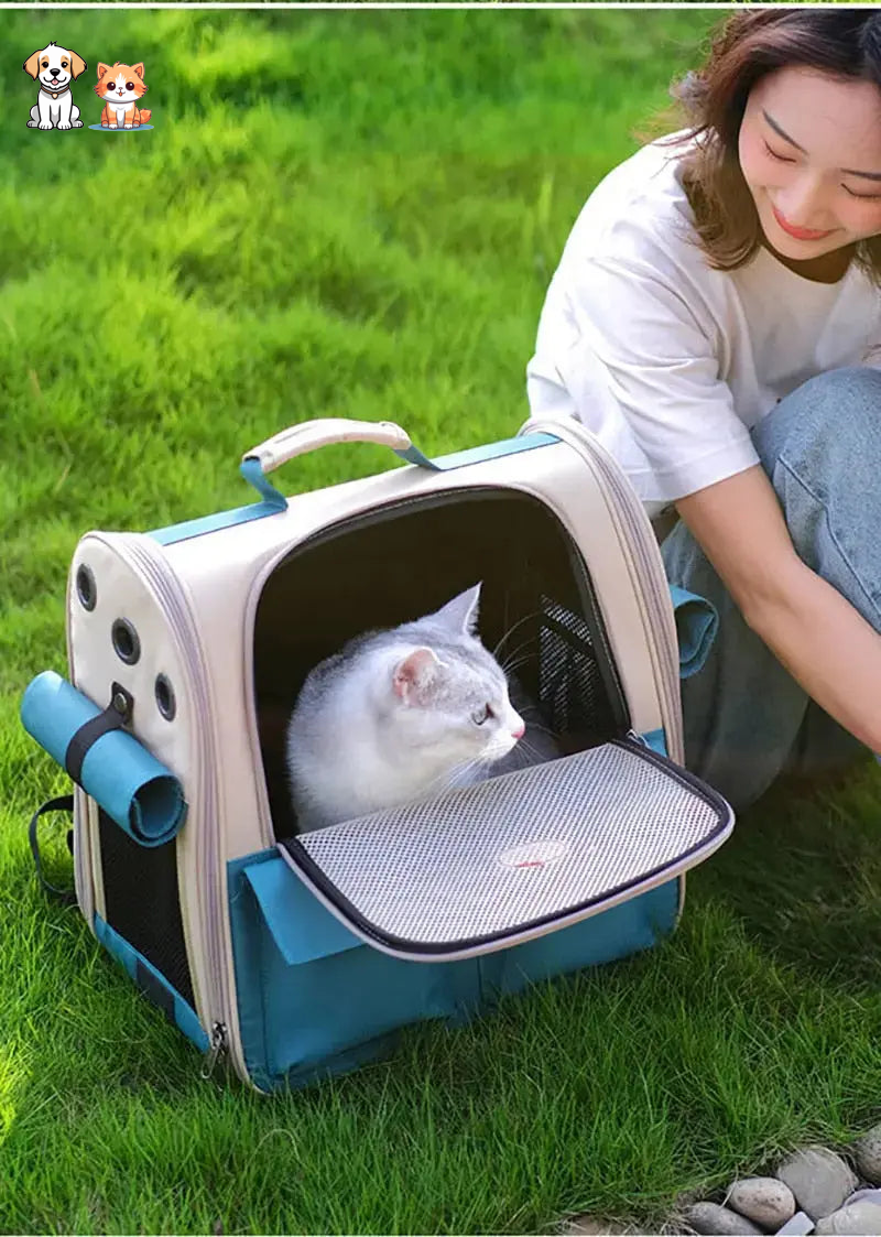 Mochila para gatos plegable y ventilada verde