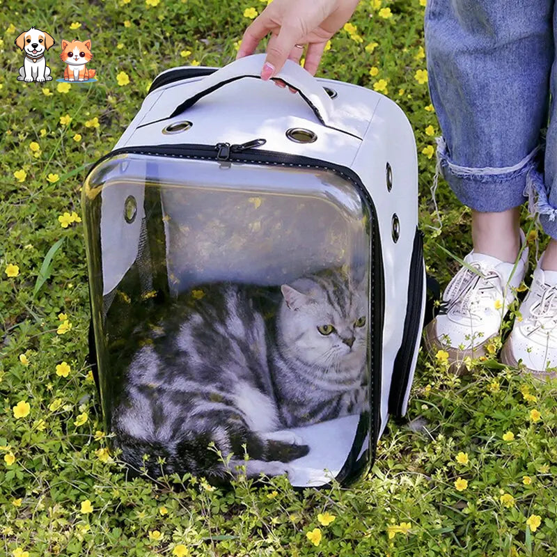 Sac à dos de transport carré pour chat