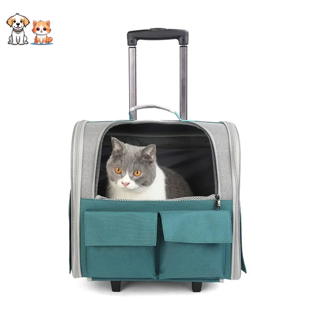 Sac de transport pliable pour chat