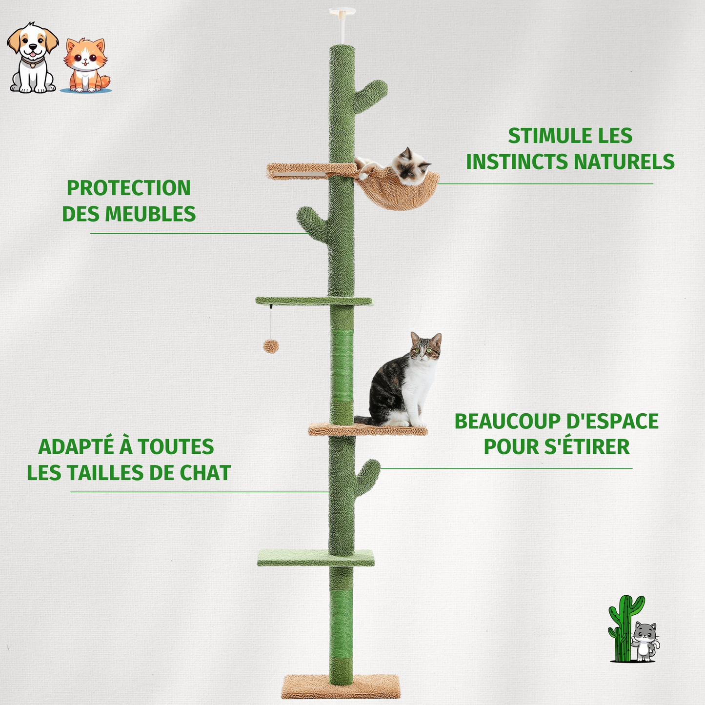 Le poteau d'escalade Griffoir-Cactus