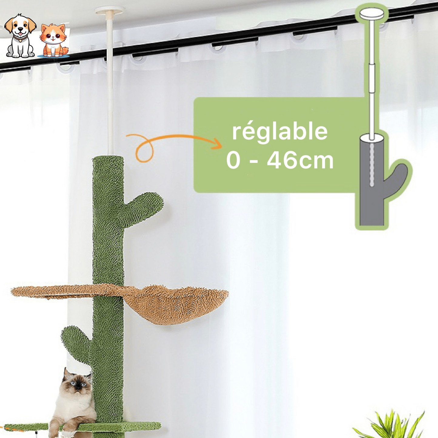 Le poteau d'escalade Griffoir-Cactus