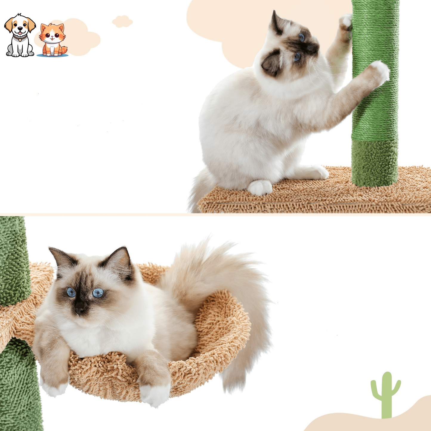Le poteau d'escalade Griffoir-Cactus