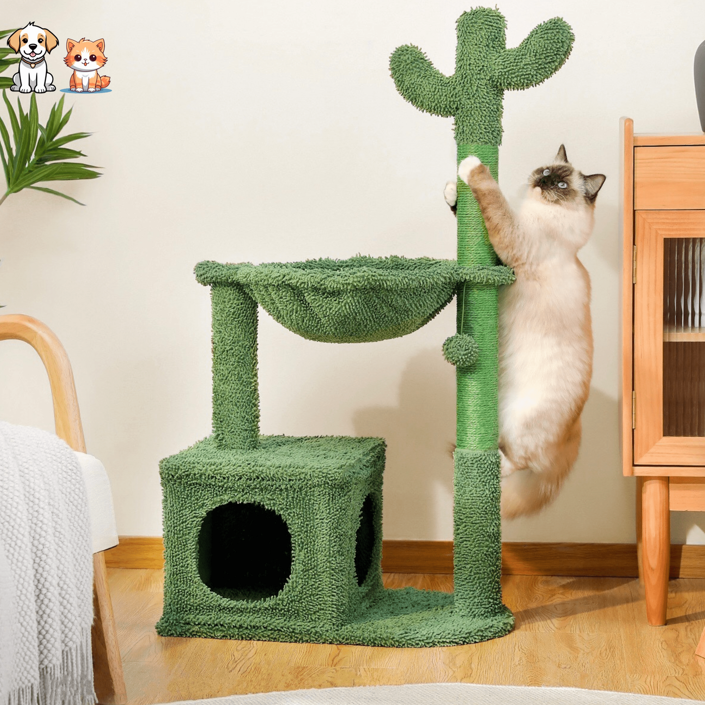 Le Grand Cactus