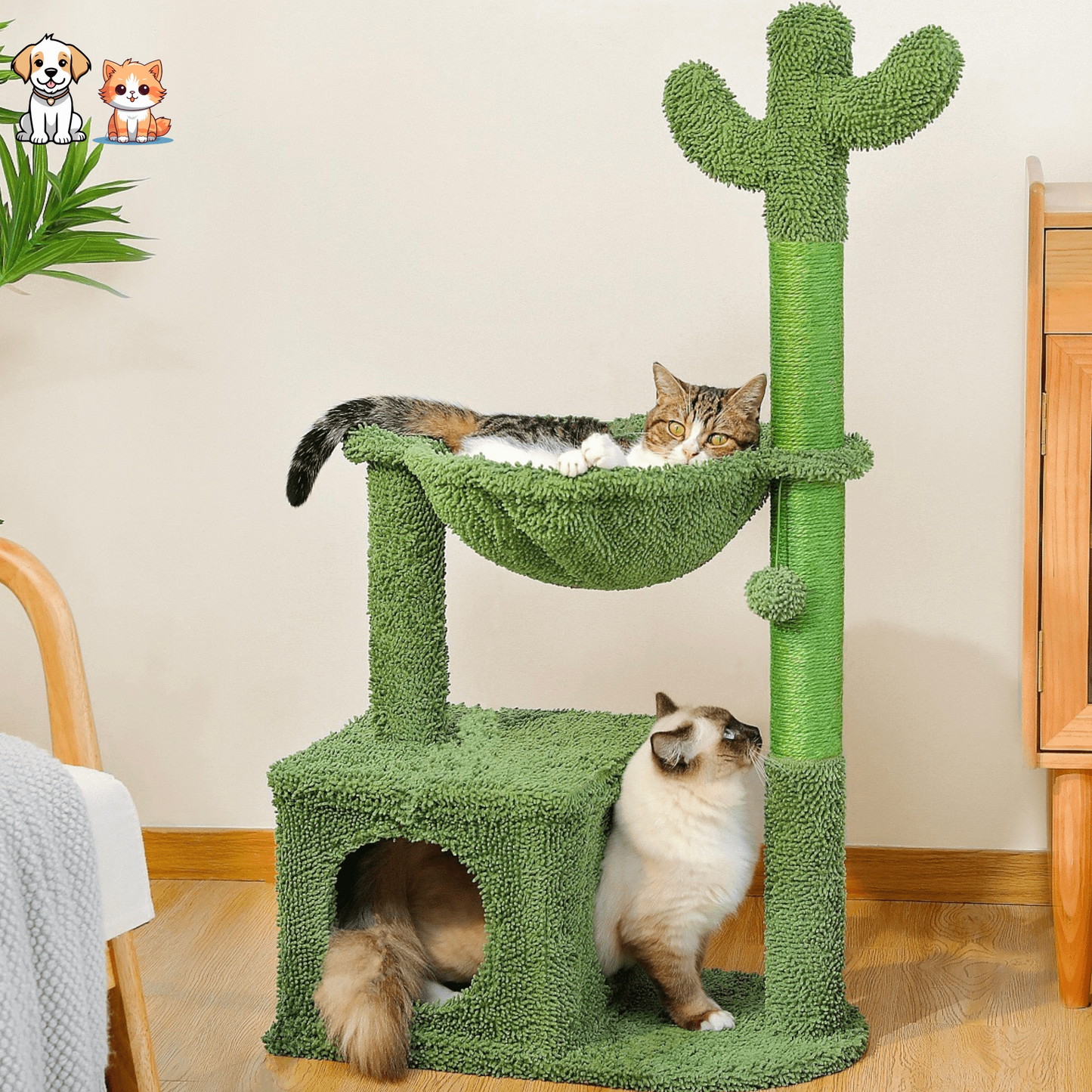 Le Grand Cactus